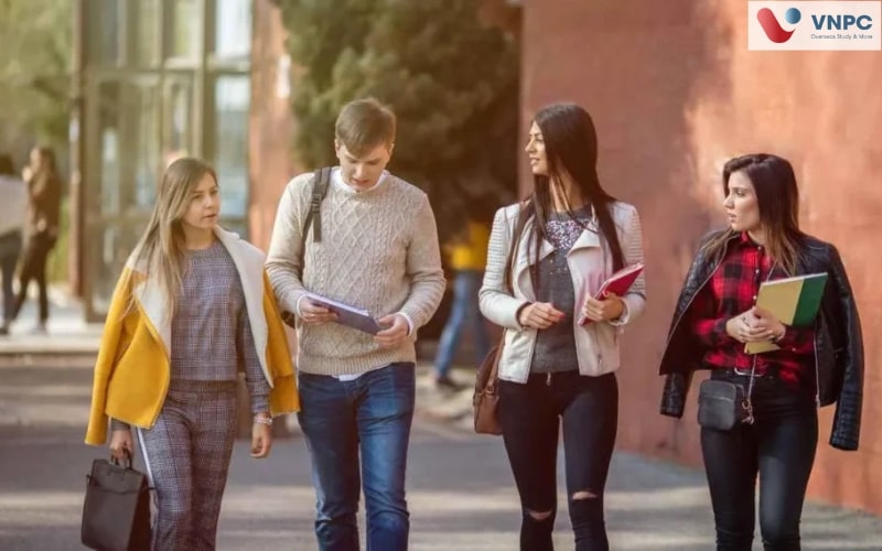 Du học cao đẳng Úc: Chi phí, điều kiện và cơ hội việc làm